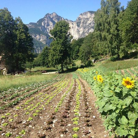 Bauernhof Hof Unternberg Apartment Magre all' Adige Екстериор снимка