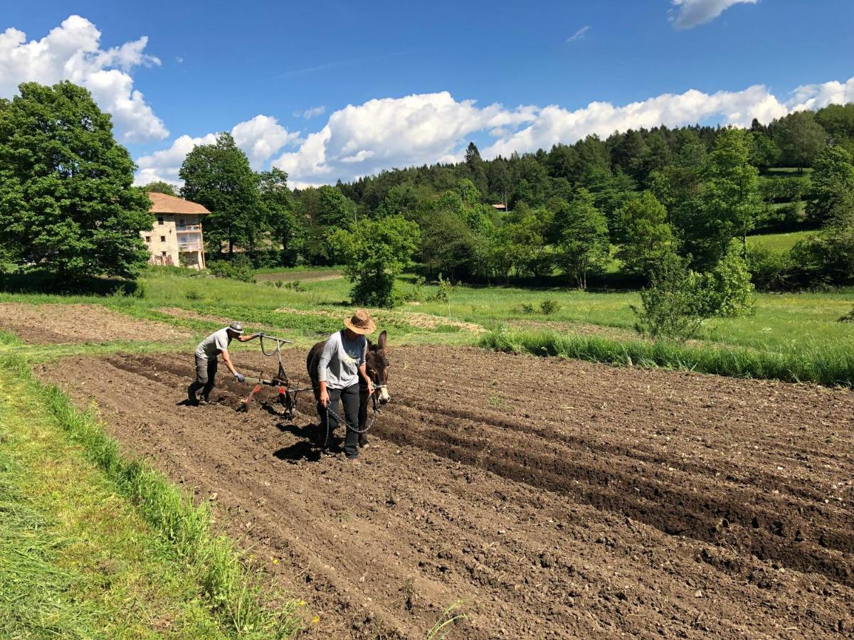 Bauernhof Hof Unternberg Apartment Magre all' Adige Екстериор снимка
